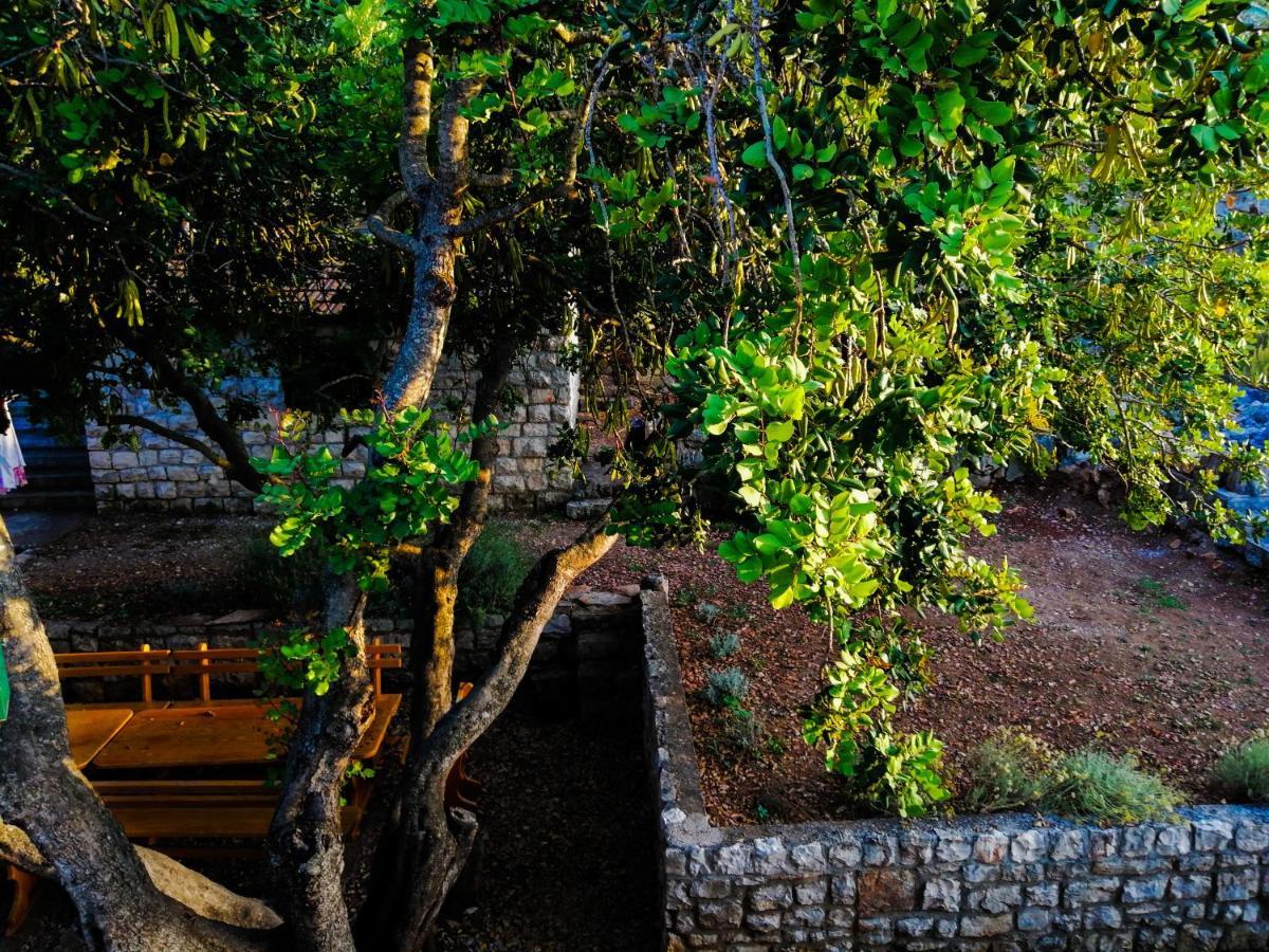 Ceratonia Apartments Loviste Bagian luar foto